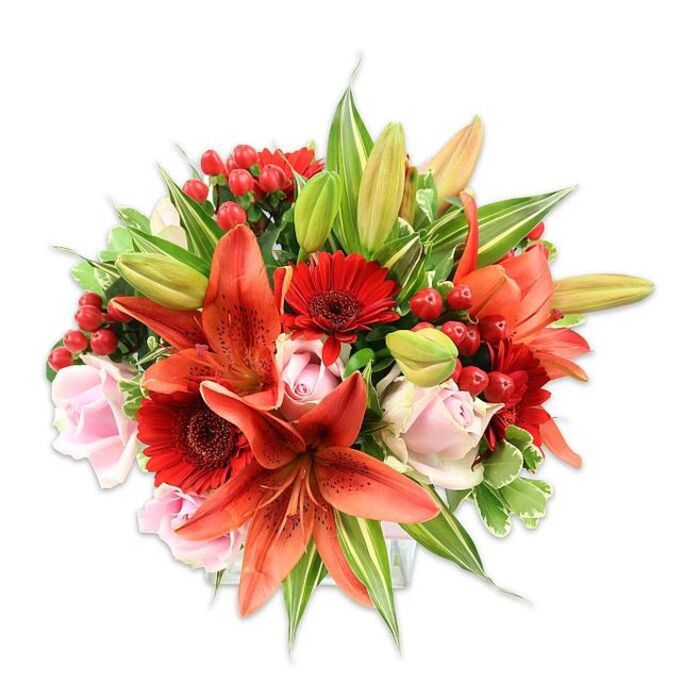 Framed by a bright white background to emphasise its vivid palette, this densely packed bouquet showcases the confident pairing of bold lilies, cheerful daisies and soft roses. Several gladiatorial-like Asiatic lilies in a rich orange-red command attention-their recurved, speckled petals and prominent stamens lending a dramatic focal point-while unopened lily buds suggest staged movement and future bloom. Interspersed among these are crimson Gerbera daisies, identifiable by many narrow petals circling darker central disks, which add graphic punctuation and rhythmic repetition. Gentle blush-pink roses offer romantic relief, their velvety spirals appearing in varied stages from compact buds to open cups. Nestled throughout the arrangement, clusters of glossy red hypericum berries provide bright, jewel-like contrast and tactile interest against the smoother petals. The greenery is generous and thoughtfully selected: broader solid green leaves create a rich backdrop, variegated foliage with pale streaks supplies lightness and complexity, and the slender lily leaves give vertical definition. Bathed in clean, even lighting that accentuates colour saturation and surface texture, the bouquet has a warm, celebratory mood-suitable for anniversaries, Valentine's gestures, milestone birthdays, or as a striking seasonal display at a local Chingford gathering. A soft fragrance of roses blends with a subtle spicy edge from the lilies, while the tactile palette moves from silky rose petals to papery lily blooms and glossy berries. Crafted with attention to proportion and colour harmony, this arrangement-made with Chingford homes and special occasions in mind-reads as both contemporary and timeless, an eloquent study in floral contrast and abundance.