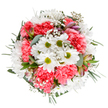 A vibrant arrangement lovingly crafted in Chingford, this bouquet blends the freshness of local greenery with a lively palette of blooms that captures the essence of community spirit. At its core, crisp white daisies shine with lime-green centers-symbols of simple joy and new beginnings. Ruffled coral-pink carnations spread warmth and richness throughout, their presence bold yet graceful. Wisps of baby's breath and slender eucalyptus leaves intertwine softly, imbuing the bouquet with both lightness and grounding green tones reminiscent of Chingford Plain after spring rains. Hints of pink and purple alstroemeria buds add pockets of intrigue and a subtle nod to the area's hidden garden treasures. The expertly circular form balances exuberance with tranquillity, each element positioned to embrace natural harmony. Sunlight seems to skim the arrangement, highlighting texture and detail, with a gentle floral fragrance that evokes walking past local flower stalls on a bright morning. This bouquet is suited for marking birthdays, honoring mothers, or transforming an ordinary day into a celebration-its beauty an invitation to pause, appreciate, and connect within the vibrant tapestry of Chingford life.